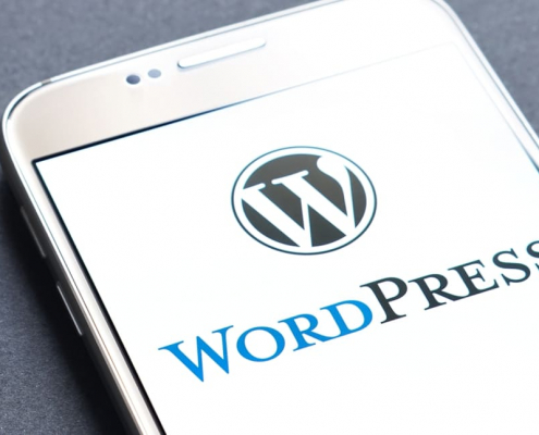 wordpress development services