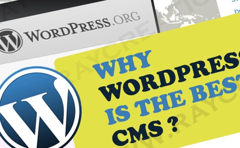 why wordpress is best CMS