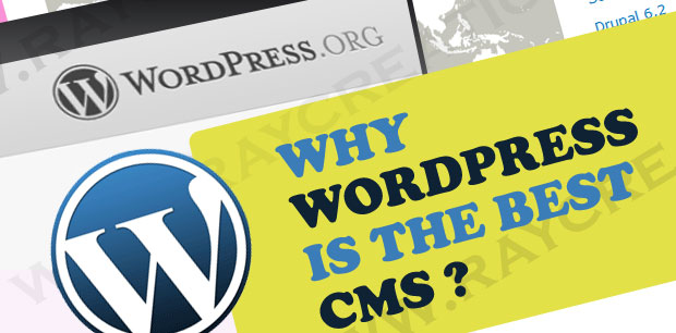 why wordpress is best CMS